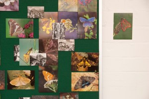 The Cure, after Waburg, 2013 (detail)