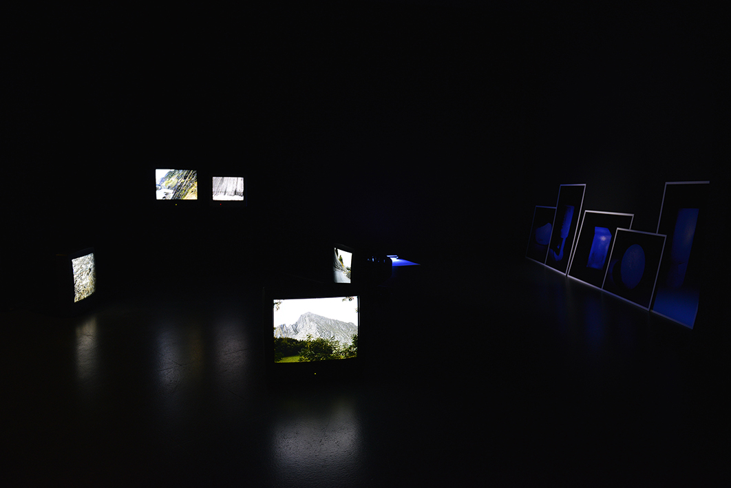 installation-view_baja_res_dsc6564